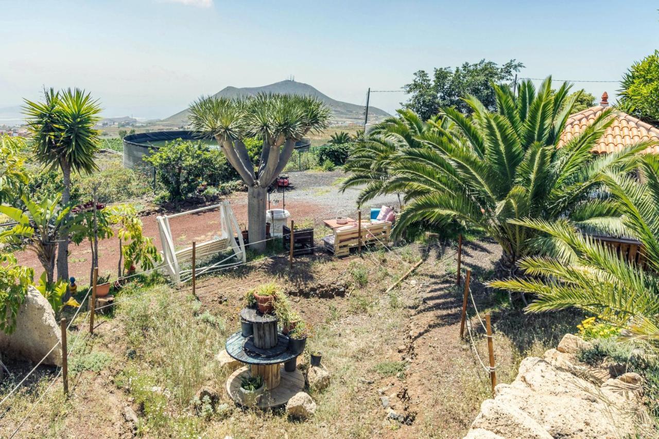 Apartamento B Armonia Rural Granadilla De Abona Esterno foto